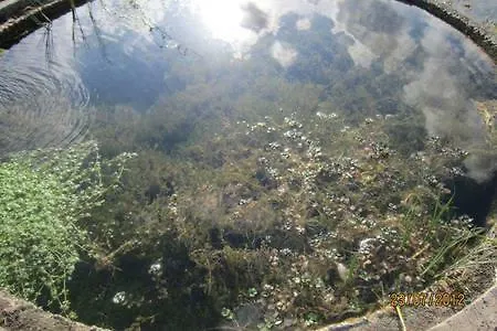 Ambra Di Mare