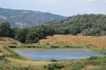 Ambra Di Mare * Sant'Agata di Militello